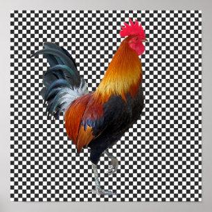 Colourful Strutting Rooster Poster
