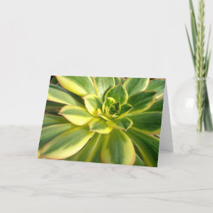 Colourful Succulent #2 Note Card