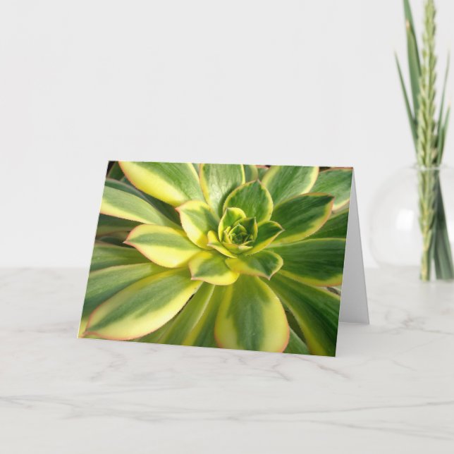 Colourful Succulent #2 Note Card (Front)