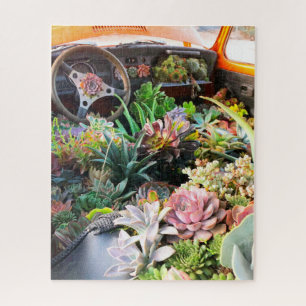 Colourful Succulent Car Puzzle