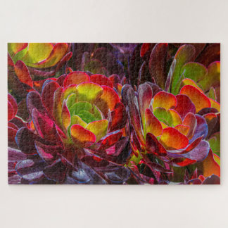 Colourful Succulent Flowers  Jigsaw Puzzle