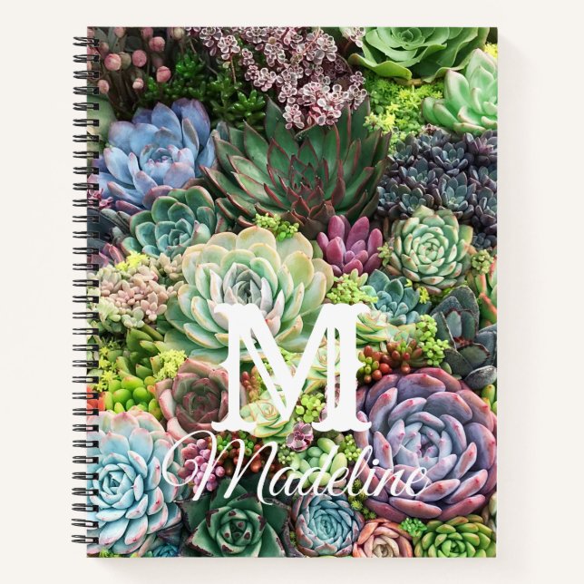 Colourful Succulent Garden Notebook (Front)