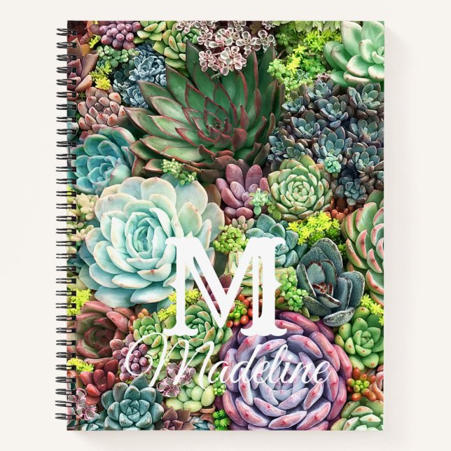 Colourful Succulent Garden Notebook (Front)