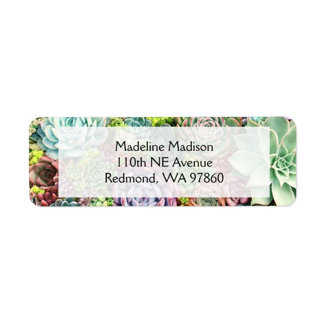 Colourful Succulent Garden Return Address Label (Front)