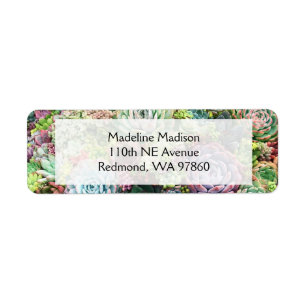 Colourful Succulent Garden Return Address Label