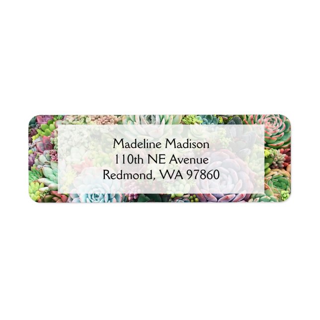 Colourful Succulent Garden Return Address Label (Front)
