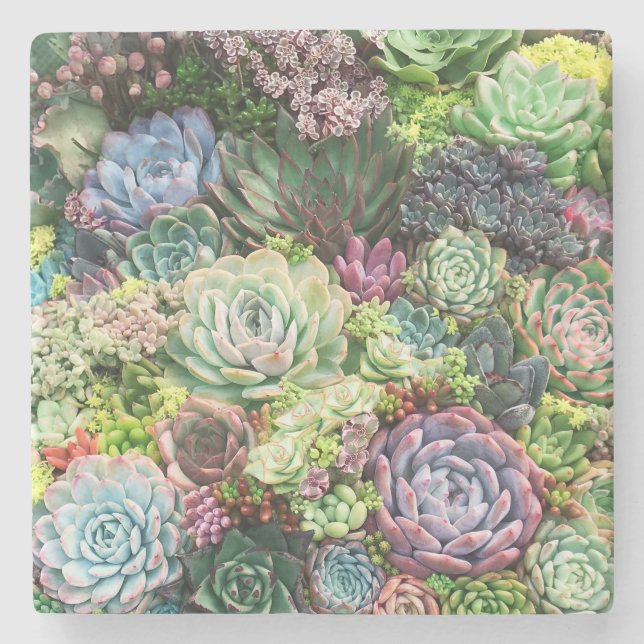 Colourful Succulent Garden Stone Coaster (Front)