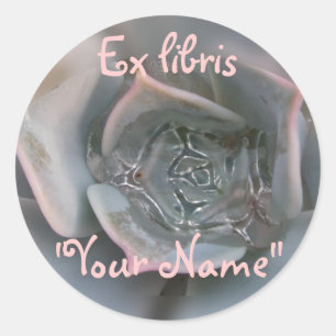 Colourful Succulent Wishing You Happiness Items Classic Round Sticker