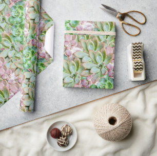 Colourful Succulent     Wrapping Paper