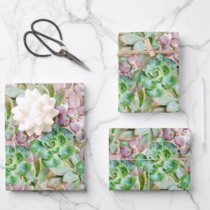 Colourful Succulent     Wrapping Paper Sheet