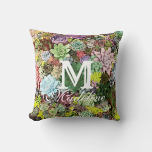 Colourful Succulents Cushion