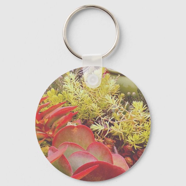 Colourful Succulents Key Ring (Front)