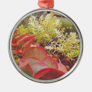 Colourful Succulents Metal Tree Decoration