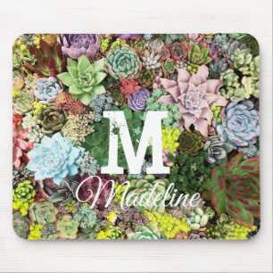 Colourful Succulents Mouse Pad