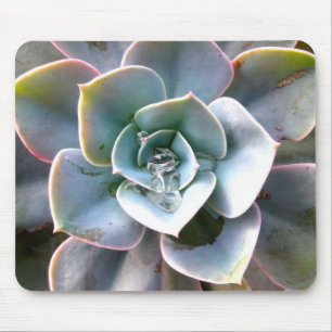 Colourful Succulents Mousepad #3