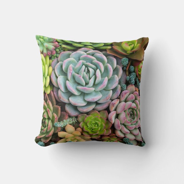 Colourful succulents Throw Pillow (Front)