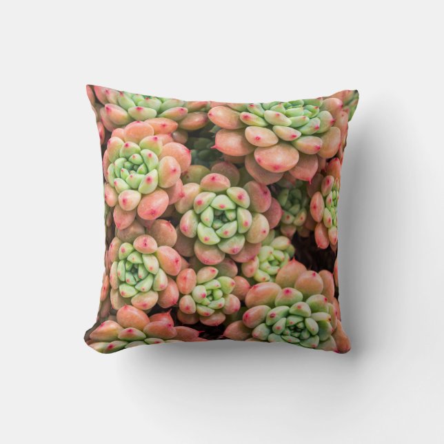 Colourful succulents Throw Pillow (Front)