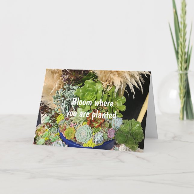 Colourful Succulents with Silver Grass Card (Front)