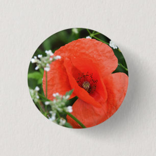 Colourful summer field poppy flower in green veget 3 cm round badge