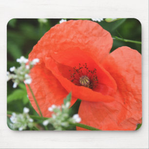 Colourful summer field poppy flower in green veget mouse pad