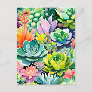 Colourful Summer Succulent Botanical Garden Holiday Postcard