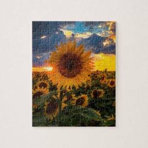Colourful Sunflowers in a Field Jigsaw Puzzle