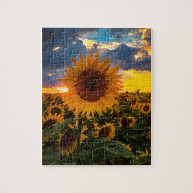 Colourful Sunflowers in a Field Jigsaw Puzzle (Vertical)
