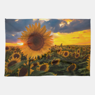 Colourful Sunflowers in a Field Tea Towel