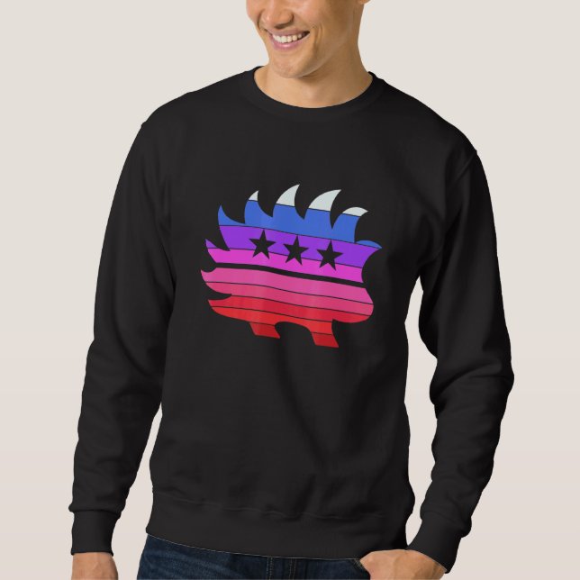 Colourful Sunset Libertarian Porcupine Cool Stylis Sweatshirt (Front)