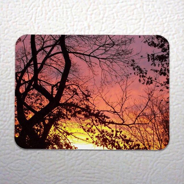 Colourful Sunset Through Bare Trees Magnet (Colorful Sunset Through Bare Trees Magnet on White Fridge)