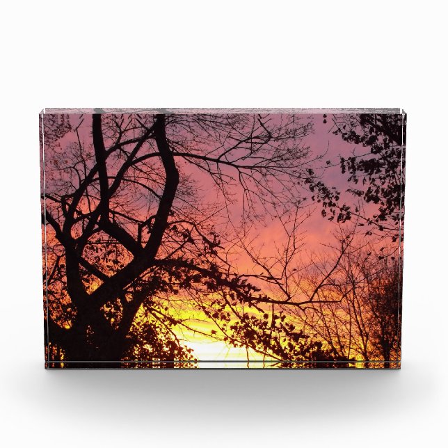 Colourful Sunset Through Bare Trees Photo Block (Front)
