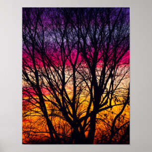 Colourful Sunset with a silhouetted tree, Ohio Poster