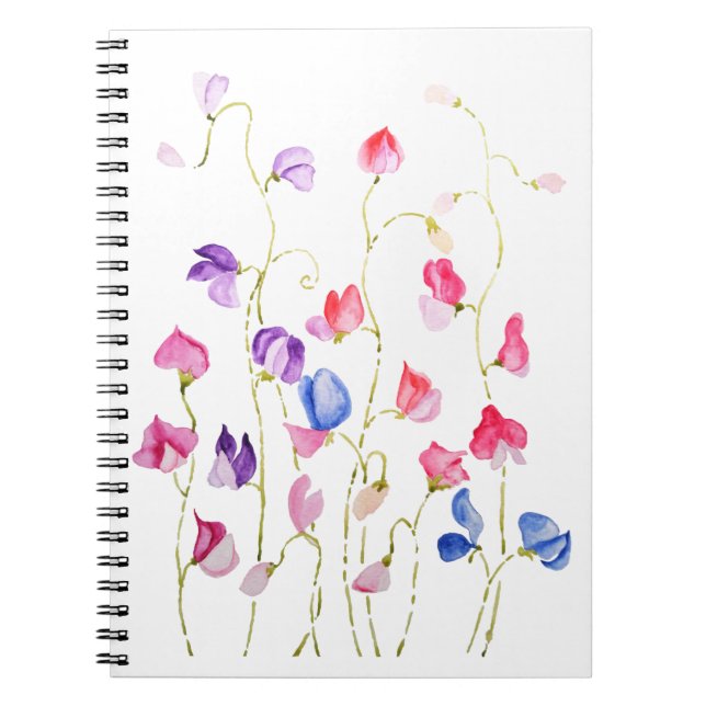 colourful sweet peas flowers watercolor notebook (Front)