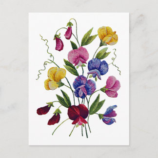 Colourful Sweet Peas Postcard