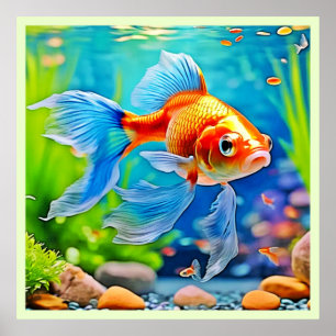 Colourful Tank Goldfish Design Poster