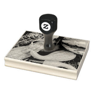 colourful Thanksgiving gourds Rubber Stamp