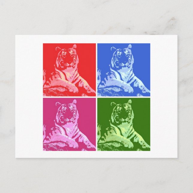 Colourful Tigers Postcard (Front)