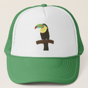 Colourful Toucan Painting on Hats