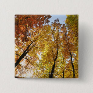 Colourful Trees 15 Cm Square Badge