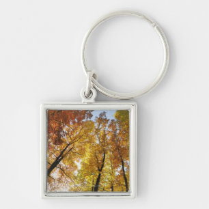 Colourful Trees Key Ring