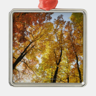 Colourful Trees Metal Tree Decoration