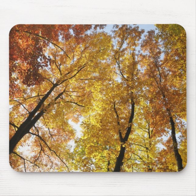 Colourful Trees Mouse Pad (Front)