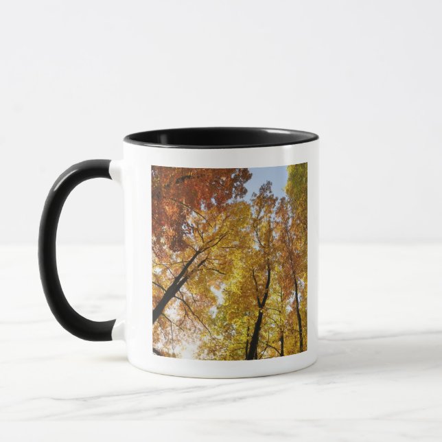 Colourful Trees Mug (Left)