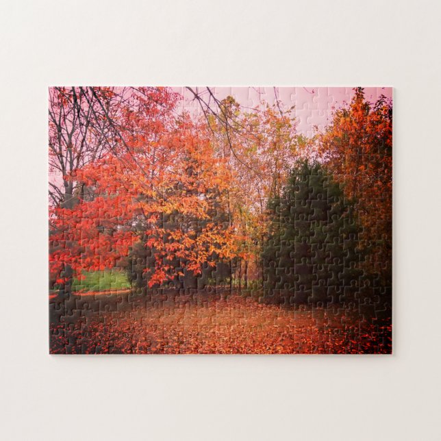 Colourful Trees Of Fall Jigsaw Puzzle (Horizontal)