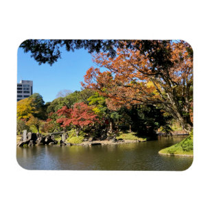 Colourful Trees Scenery at Japanese Garden Magnet