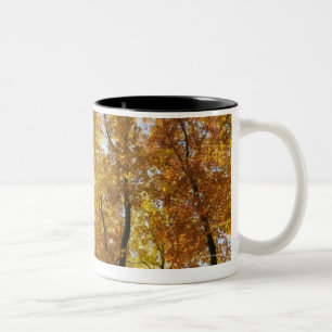 Colourful Trees Two-Tone Coffee Mug