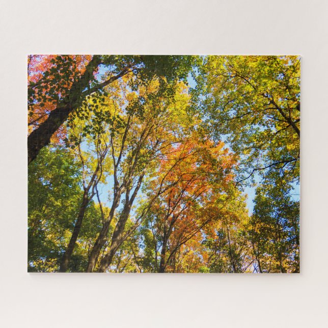 Colourful Treetops Jigsaw Puzzle (Horizontal)