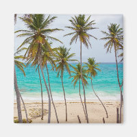 Colourful Tropical Beach