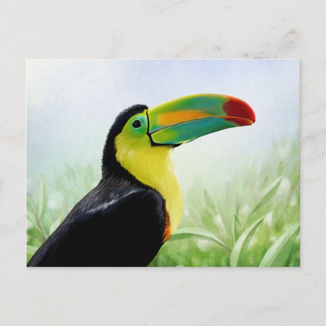 Colourful Tropical Bird Black Yellow Green Toucan Postcard (Front)