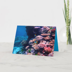 Colourful Tropical Coral Reef Card